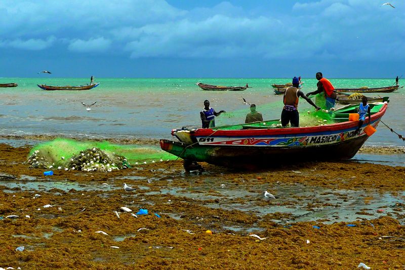 Gambia